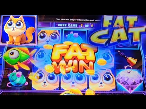 Fat Cat Gave a Fat Win