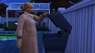 : Sims 4