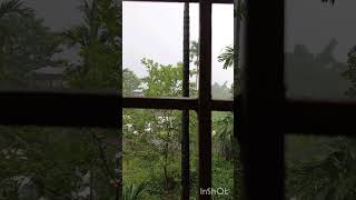 Nature and Music connect eachother"Sawan Bito jaye"♥️