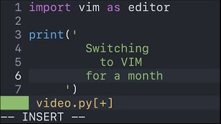 Programming with only vim for 30 days screenshot 4