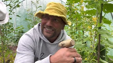 POLY TUNNELS ARE JUST BRILLIANT!! | Learning how to Grow food on an Allotment Plot in the UK | EP106