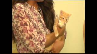 K A This morning introduces y ou to July s pets of the month
