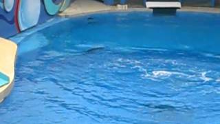 MVI_0546.AVI