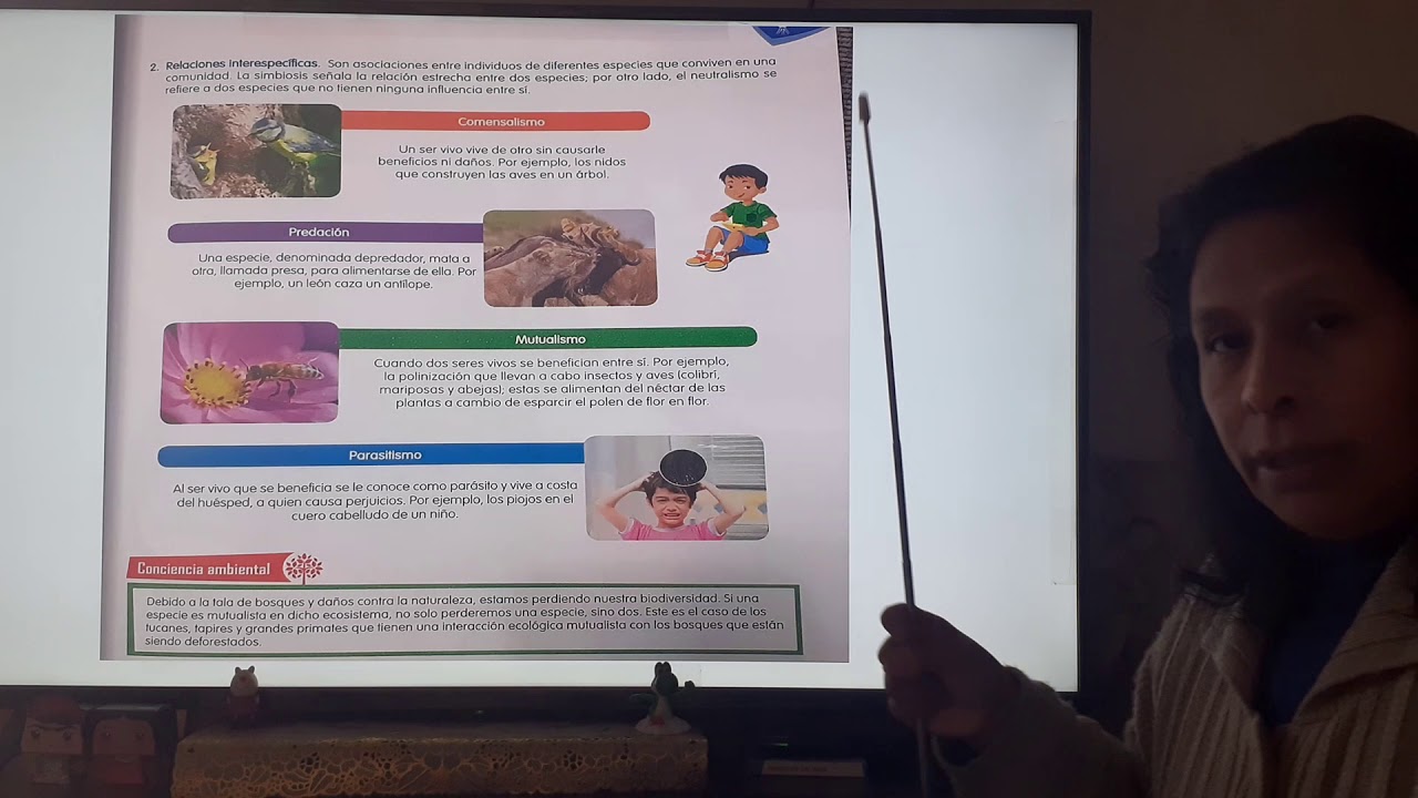 LOS REINOS PARTE 2 - YouTube