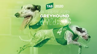 Ipswich GRC - Queensland Greyhound Awards 2020