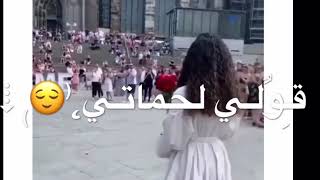 قولي لحماتي ياروح رح اخطفك يا مجنونه🙈❤️