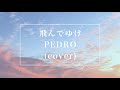 飛んでゆけ/PEDRO(cover)