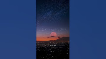 ياسر الدوسري | من سورة النمل