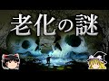 翼を得た生物はなぜ寿命が長くなるのか?【ゆっくり科学】