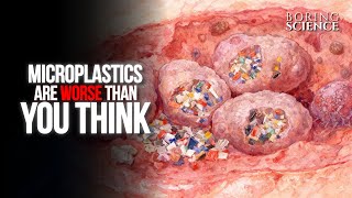 Why are Microplastics Worse Than You Think