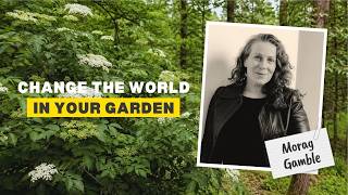Food Forest Podcast: Morag Gamble – How Food Forests Bring People Together