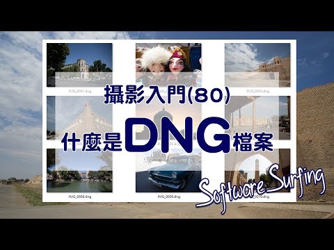 攝影入門(80) 什麼是 DNG 檔案？(Software Surfing 251)