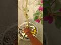 “This Trick Boosts Paper Flower Bloom! 😱🍊🌸”| Gardening tips| #gardening #gardeningtips #shorts