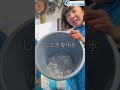 水族館飼育員のゆるゆるVlog①＠しながわ水族館【海獣】