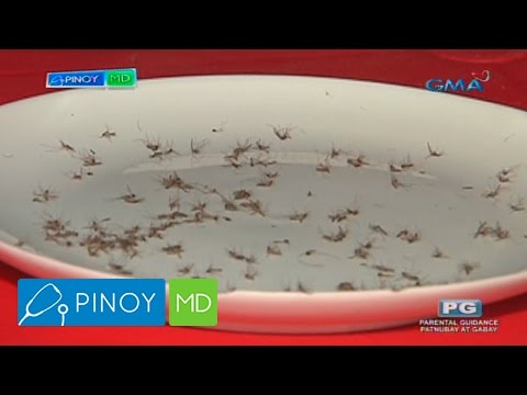 Video: Paano Magaling ang Mga Panukala: 13 Mga Hakbang (na may Mga Larawan)