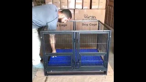 43” Cage with Divider Assembly