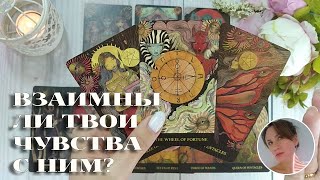 💔😭🤗 ВЗАИМНЫ ЛИ ВАШИ С НИМ ЧУВСТВА? 🔮✨🎯 НАРРАТИВНЫЙ РАСКЛАД