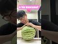 Is This Watermelon ЁЯНЙ ЁЯШВ ЁЯШБ Funny Video Funny Shorts Is This Watermelon ЁЯНЙ ЁЯШВ ЁЯШБ Funny Video Funny Shorts