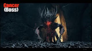 Remnant 2 Cancer Rewards