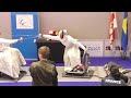 IWAS Wheelchair Fencing European Championships | Warsaw, Poland | Women’s epee, Men's Foil | Piste 4