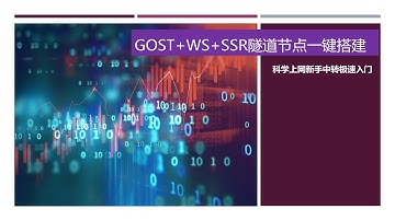 2021年谷歌云VPS+ Gost+WS隧道节点 一键安装脚本搭建SSR+WS隧道中转节点|新手科学上网快速入门教程