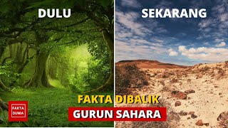 WOW!! Inilah Fakta Fakta Dibalik Gurun Sahara Yang Jarang Diketahui!