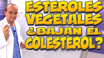 ¿Cuál es la mejor fuente de esteroles vegetales?