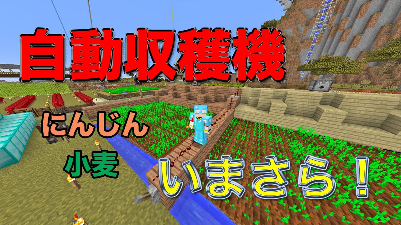 マインクラフト 小麦 にんじん自動収穫機をいまさら作ってみた Youtube