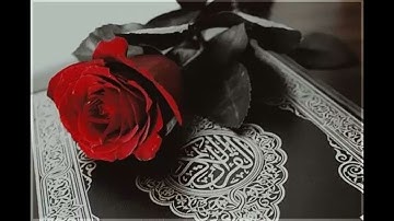 القرآن الكريم:ماتيسر👍🤲 من سورة🌹 الحجرات😍😍