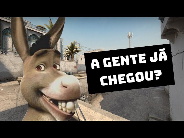 BURRO(SHREK) JOGANDO CS:GO 