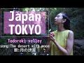 Japan TOKYO The desert with moon 月の沙漠
