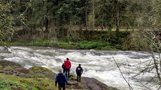 Calapooia, McKercher Falls, Mar. 2025, 2000 cfs