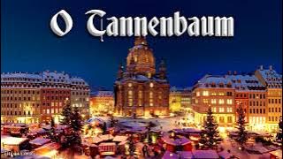 O Tannenbaum 🎄 [German Christmas song][ English translation]