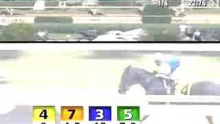 CHURCHILL DOWNS, 2008-07-04, Race 5