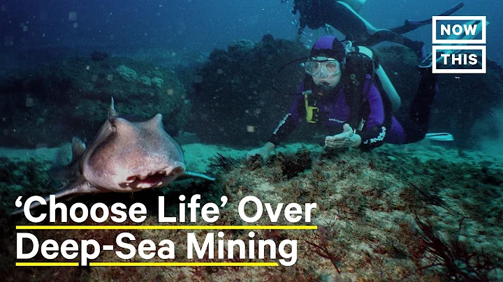 Oceanographer Sylvia Earle on the Dangers of Deep-...