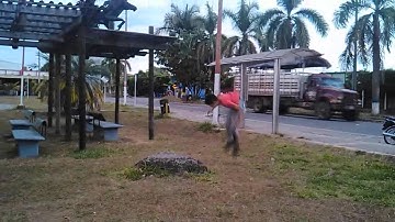 kanguros urbanos "retomando el camino"