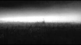 Vortex Involute - Ambience