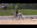 FEI North American Youth Championships Dressage - U25 Individual Championship - FEI Grand Prix 16-25