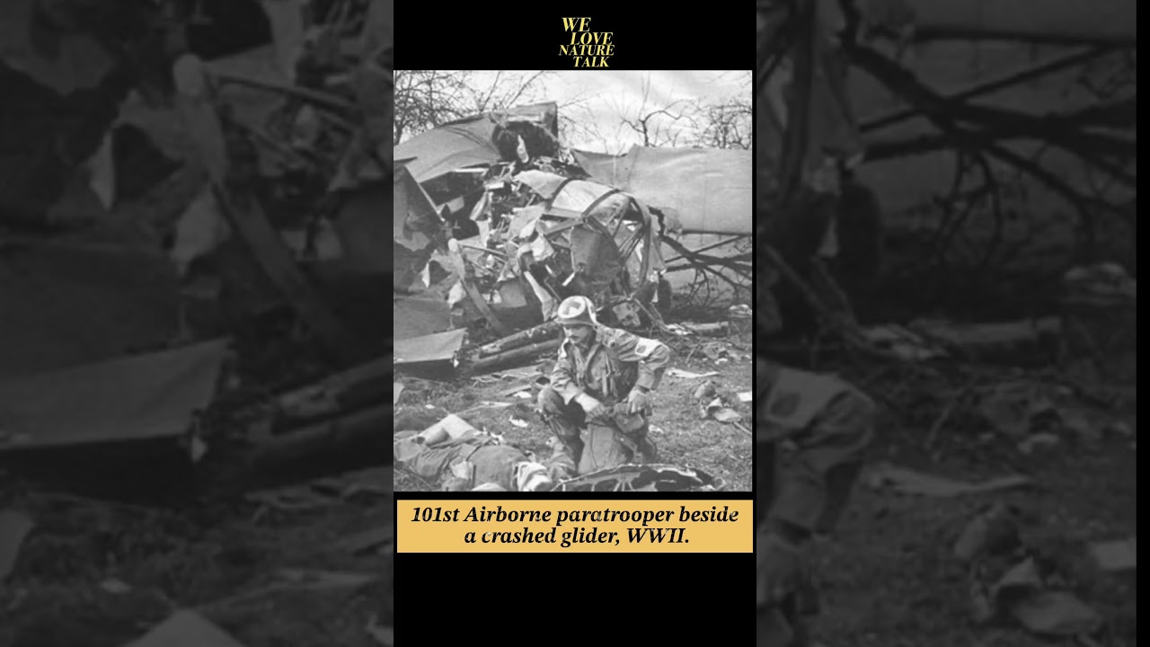 WWII Glider Crash – 101st Airborne Paratroopers