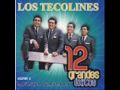 La Cita Los Tecolines