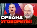 😮ШЕЙТЕЛЬМАН: Орбану сделали ПРЕДЛОЖЕНИЕ через Украину / На что решились в Италии? @sheitelman