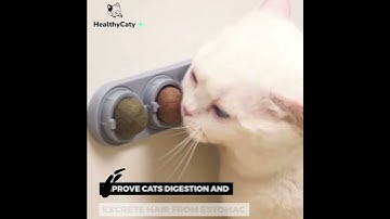 HealthyCaty+ Natural Catnip ball