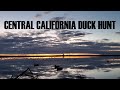 Morning Duck Hunt: Central California