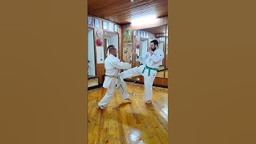 Seichin kata bunkai application harai uke / hirate sukui age uke / analys Uechi ryu Karate Hozonkai