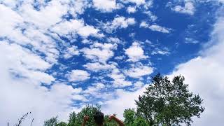 clouds time lapse video|WhatsApp status video|feeling good| clouds and blue sky