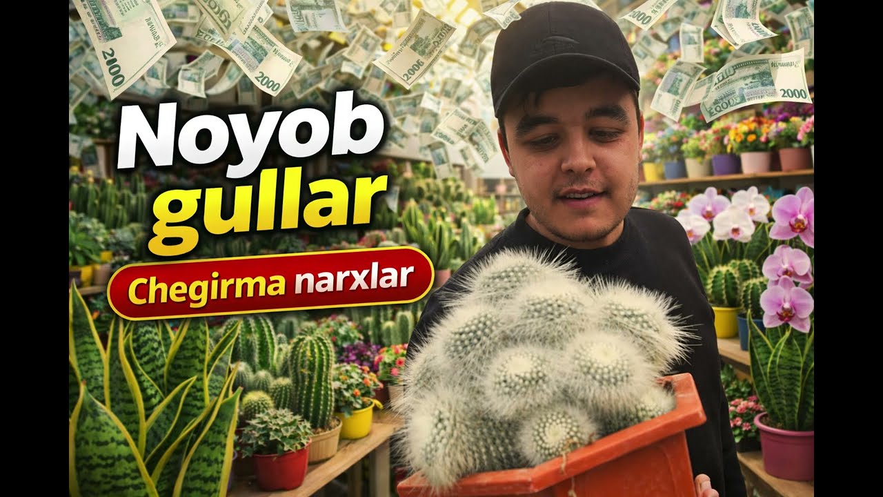 Gullarimiz 12 viloyatka dastafkasi bor🔥🔥🚚🚚✅✅buyurtma berish uchun ☎️+998956467711