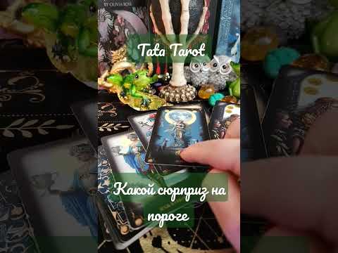 Какой сюрприз на