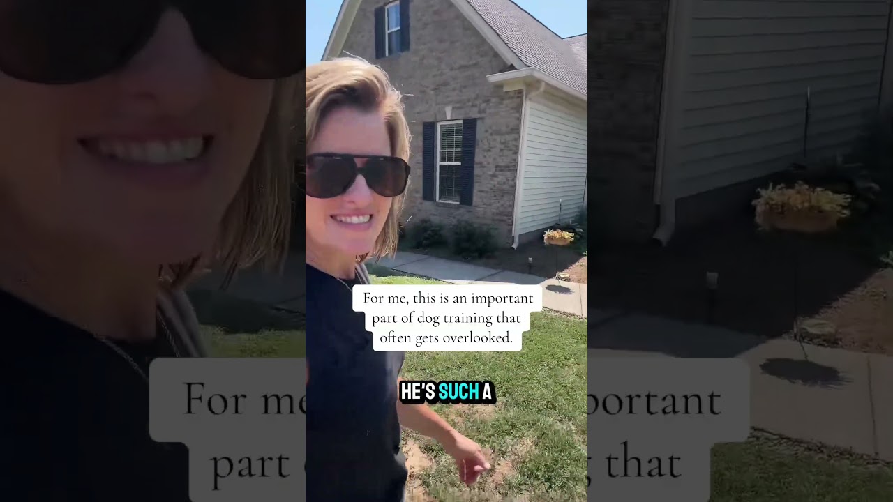 Why Door Dashing is a Safety Issue & How I Train My Dogs | 