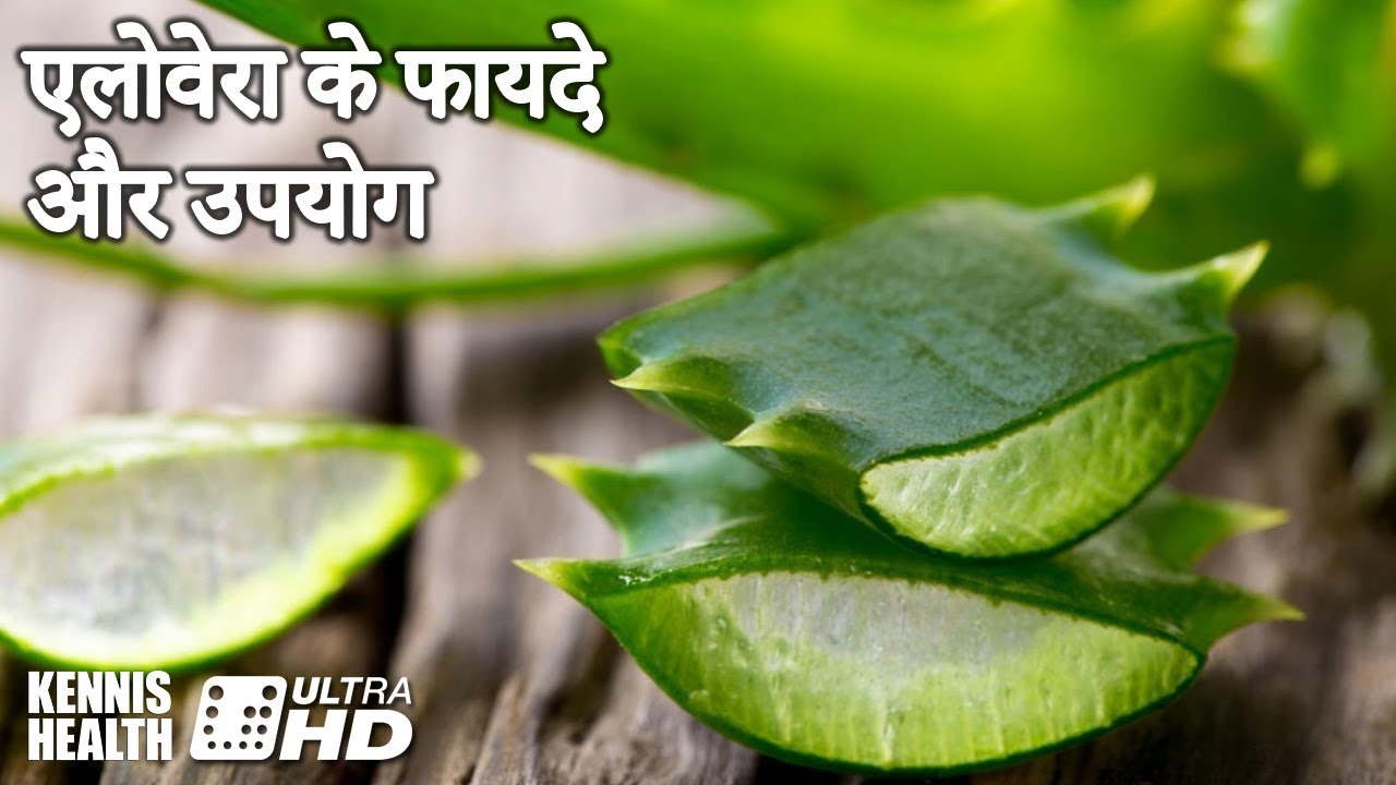 एलोवेरा के फायदे और उपयोग Benefits and uses of Aloe Vera in hindi