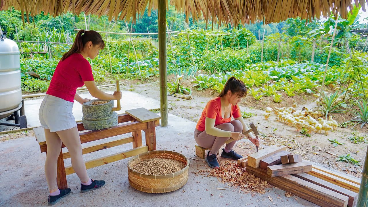 Timelapse - 90 Days to PERFECT Off-Grid Farm Life